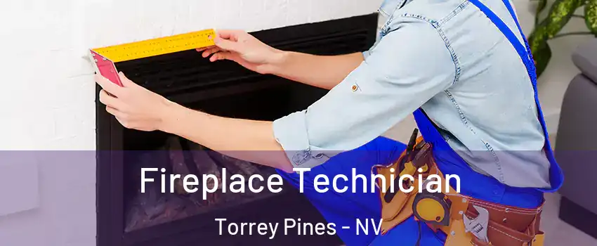 Fireplace Technician Torrey Pines - NV