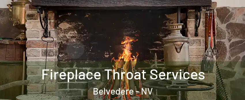 Fireplace Throat Services Belvedere - NV