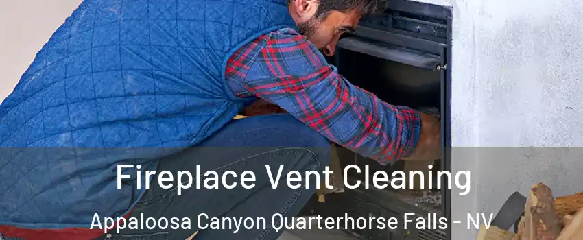 Fireplace Vent Cleaning Appaloosa Canyon Quarterhorse Falls - NV