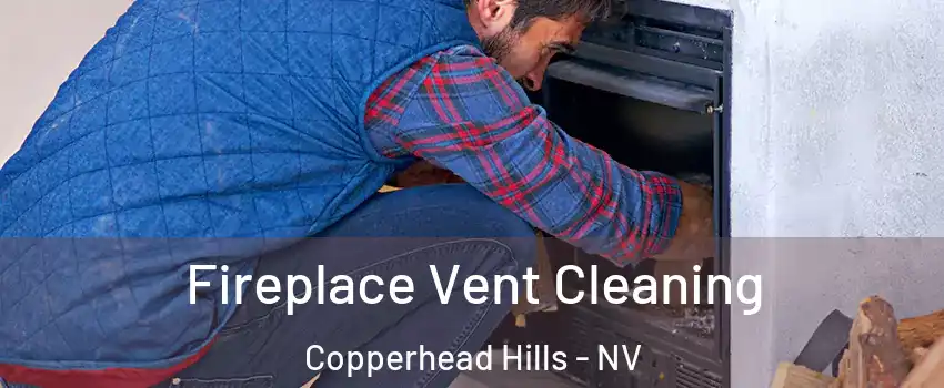 Fireplace Vent Cleaning Copperhead Hills - NV
