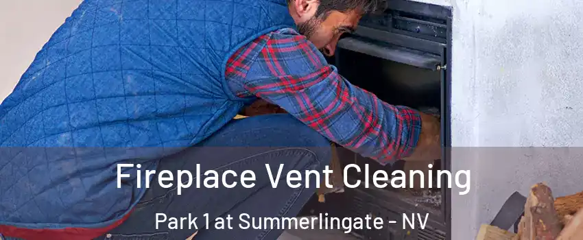 Fireplace Vent Cleaning Park 1 at Summerlingate - NV