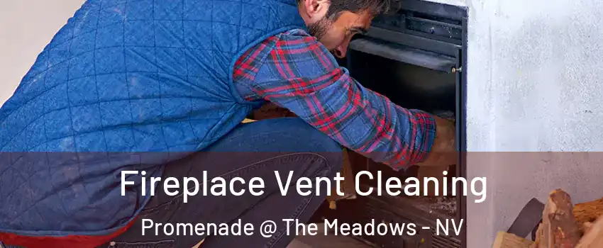 Fireplace Vent Cleaning Promenade @ The Meadows - NV