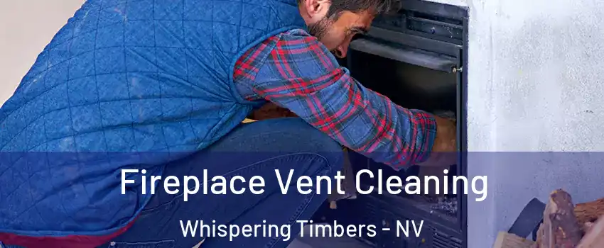 Fireplace Vent Cleaning Whispering Timbers - NV