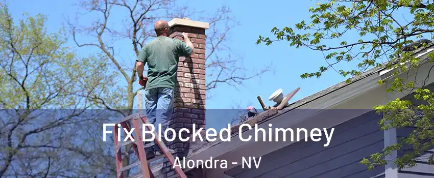 Fix Blocked Chimney Alondra - NV