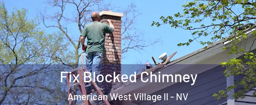 Fix Blocked Chimney American West Village II - NV