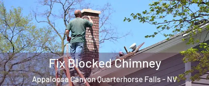 Fix Blocked Chimney Appaloosa Canyon Quarterhorse Falls - NV