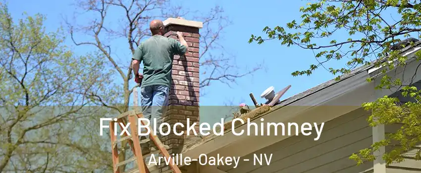Fix Blocked Chimney Arville-Oakey - NV