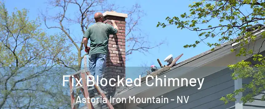 Fix Blocked Chimney Astoria Iron Mountain - NV