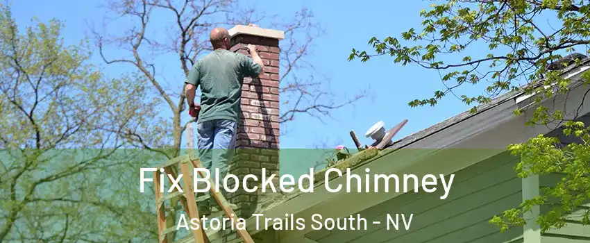 Fix Blocked Chimney Astoria Trails South - NV