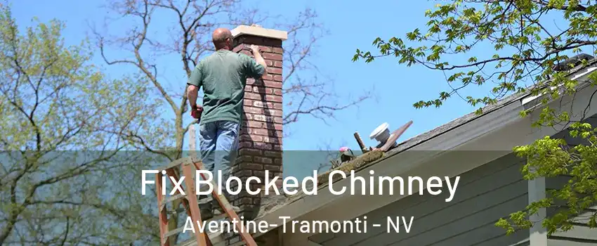 Fix Blocked Chimney Aventine-Tramonti - NV
