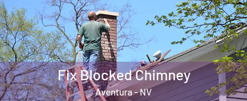 Fix Blocked Chimney Aventura - NV