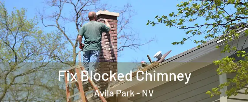 Fix Blocked Chimney Avila Park - NV