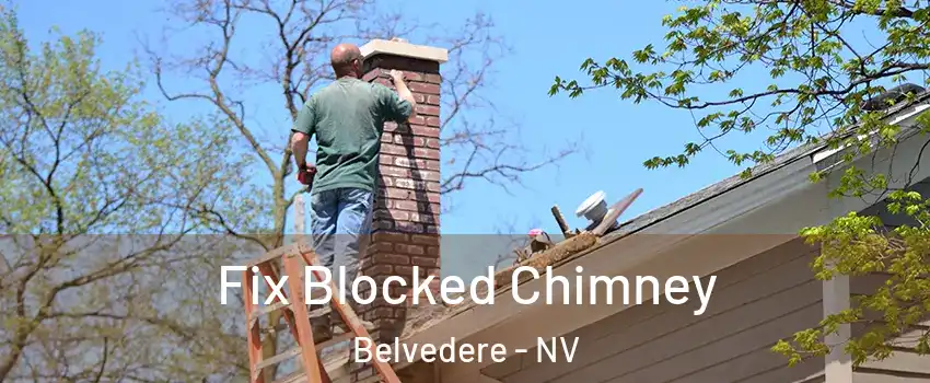 Fix Blocked Chimney Belvedere - NV
