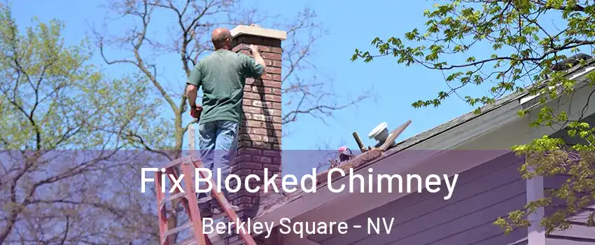 Fix Blocked Chimney Berkley Square - NV