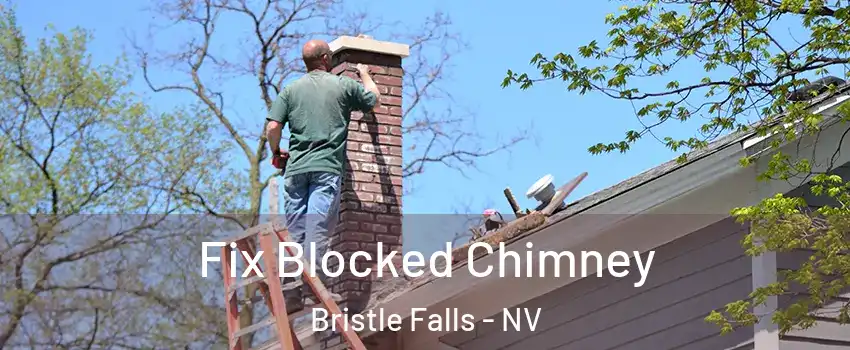 Fix Blocked Chimney Bristle Falls - NV