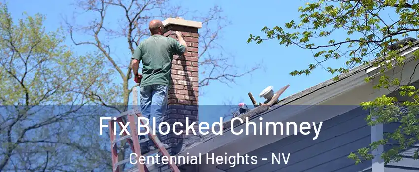 Fix Blocked Chimney Centennial Heights - NV