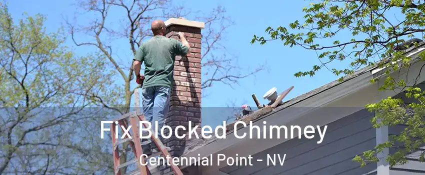Fix Blocked Chimney Centennial Point - NV