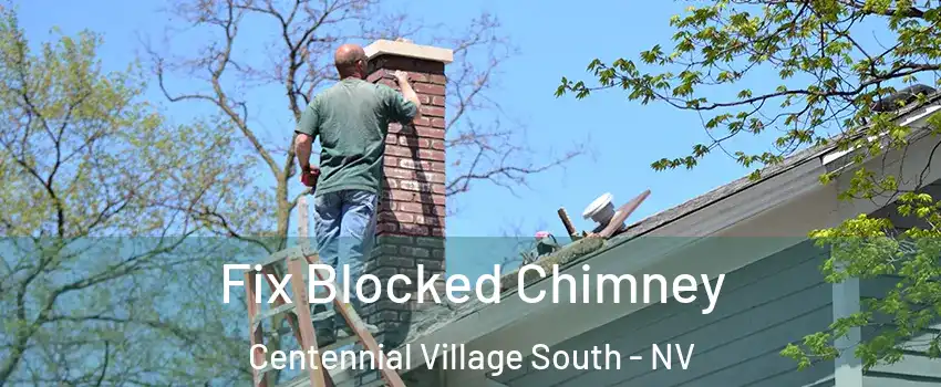 Fix Blocked Chimney Centennial Village South - NV
