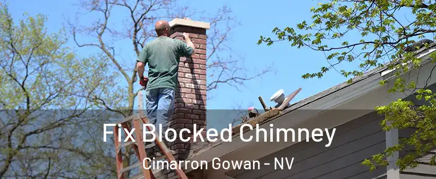 Fix Blocked Chimney Cimarron Gowan - NV