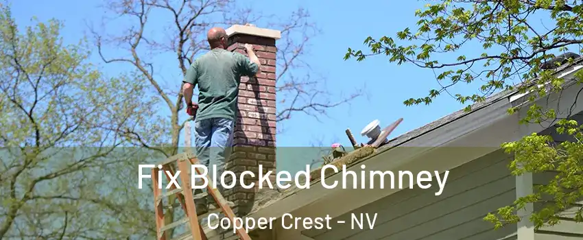 Fix Blocked Chimney Copper Crest - NV