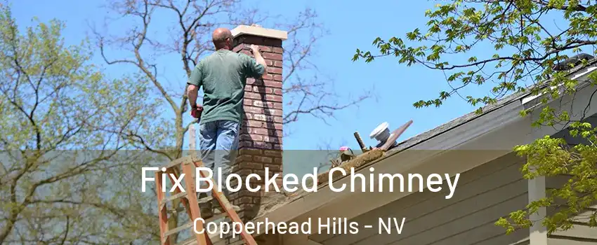 Fix Blocked Chimney Copperhead Hills - NV