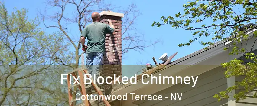 Fix Blocked Chimney Cottonwood Terrace - NV