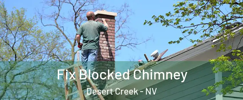 Fix Blocked Chimney Desert Creek - NV
