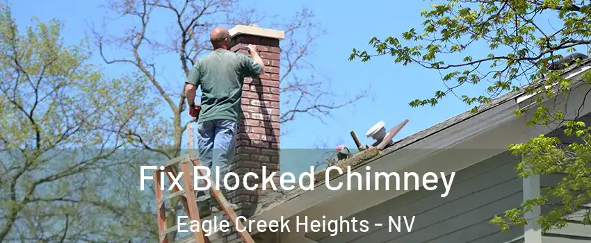 Fix Blocked Chimney Eagle Creek Heights - NV
