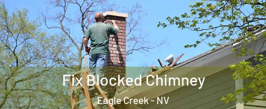 Fix Blocked Chimney Eagle Creek - NV