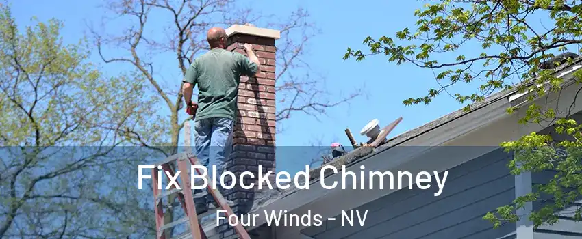 Fix Blocked Chimney Four Winds - NV
