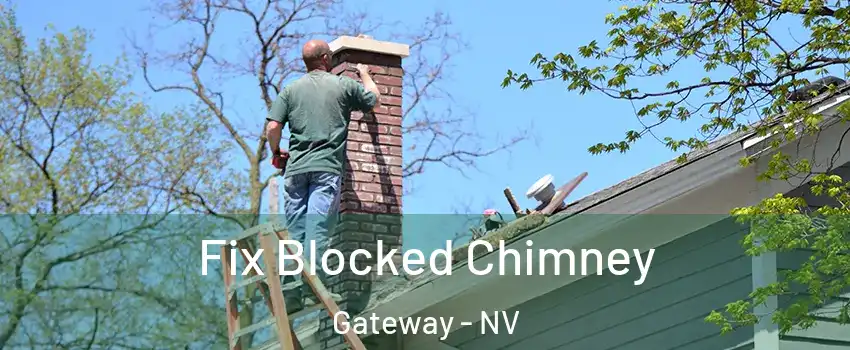 Fix Blocked Chimney Gateway - NV