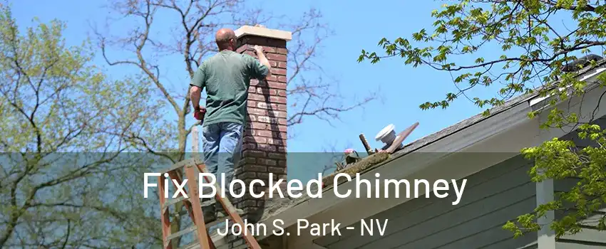 Fix Blocked Chimney John S. Park - NV