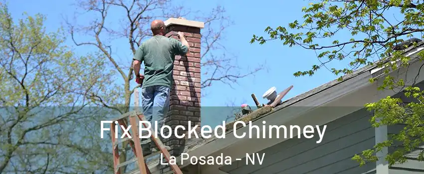Fix Blocked Chimney La Posada - NV