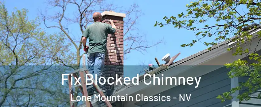 Fix Blocked Chimney Lone Mountain Classics - NV