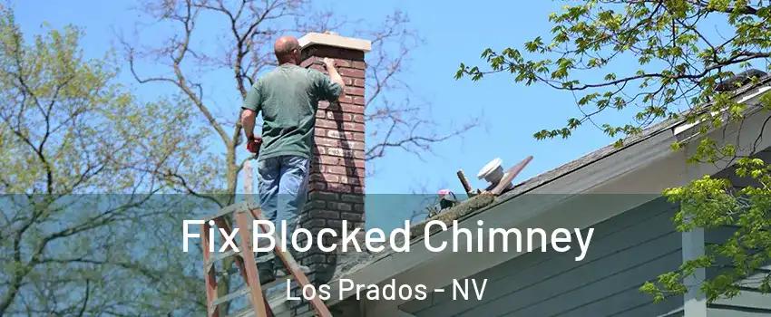 Fix Blocked Chimney Los Prados - NV
