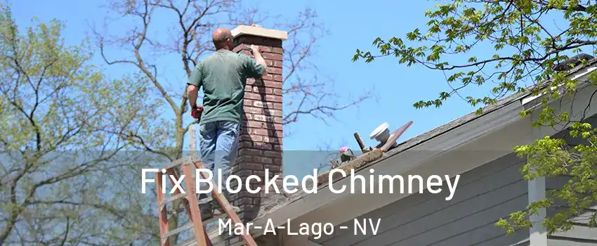 Fix Blocked Chimney Mar-A-Lago - NV