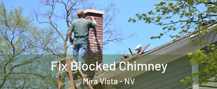 Fix Blocked Chimney Mira Vista - NV