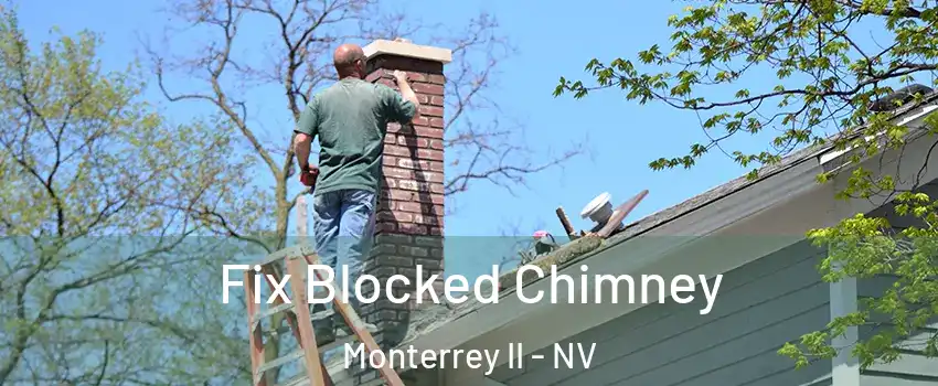 Fix Blocked Chimney Monterrey II - NV