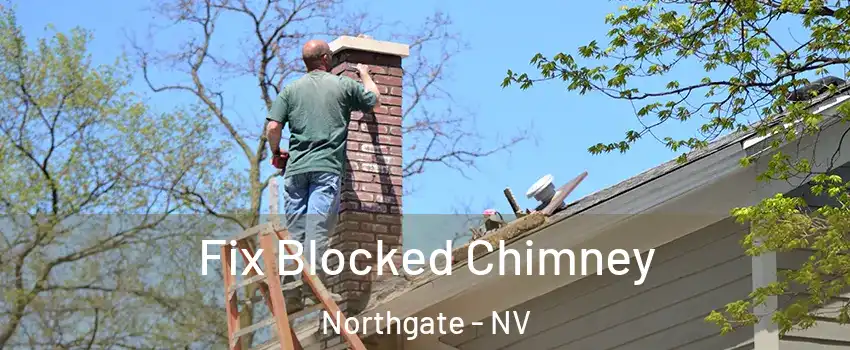 Fix Blocked Chimney Northgate - NV