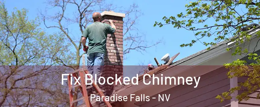 Fix Blocked Chimney Paradise Falls - NV