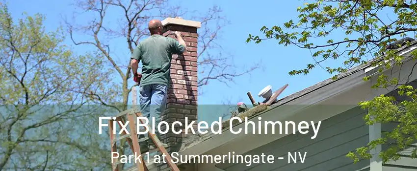 Fix Blocked Chimney Park 1 at Summerlingate - NV