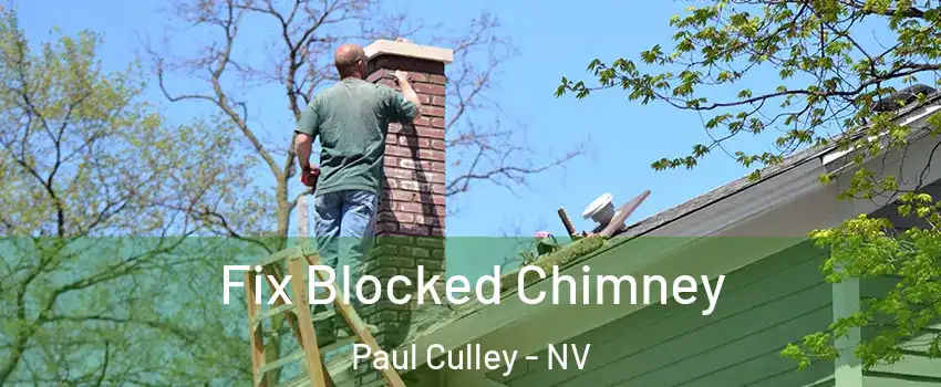 Fix Blocked Chimney Paul Culley - NV