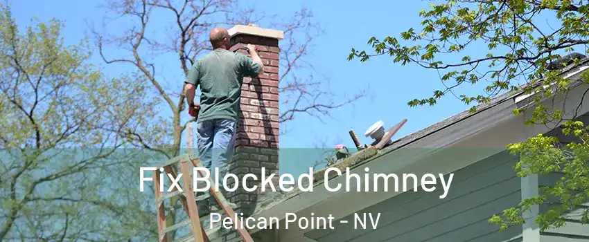 Fix Blocked Chimney Pelican Point - NV