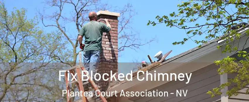 Fix Blocked Chimney Plantea Court Association - NV