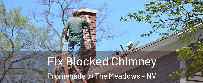 Fix Blocked Chimney Promenade @ The Meadows - NV