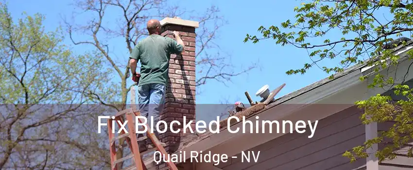 Fix Blocked Chimney Quail Ridge - NV