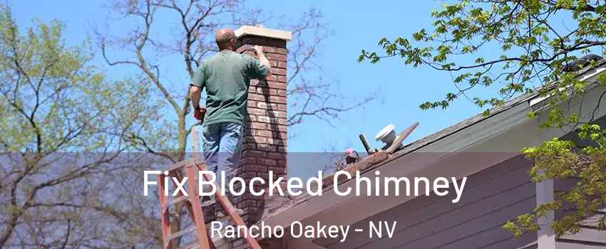 Fix Blocked Chimney Rancho Oakey - NV