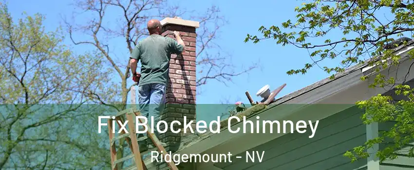 Fix Blocked Chimney Ridgemount - NV