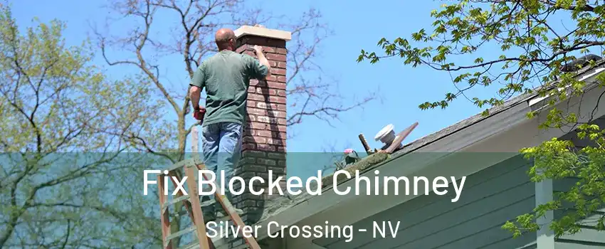 Fix Blocked Chimney Silver Crossing - NV