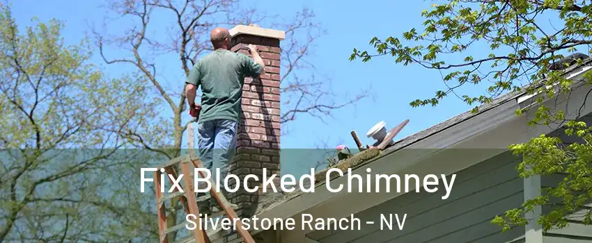 Fix Blocked Chimney Silverstone Ranch - NV
